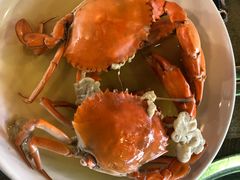 -崖口红树林海鲜餐厅
