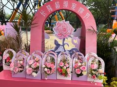 -广州长隆欢乐世界