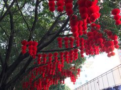 -人民公园(罗湖区)