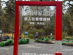 -美人松苑