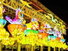 -武汉园博园(武汉自然博物馆)