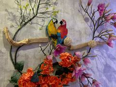 -天使恋人主题酒店(深圳翻身路店)