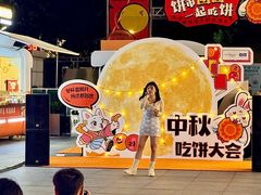 -金茂览秀城