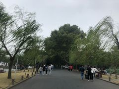 -浙江省博物馆(孤山馆区)
