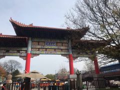 -皇藏峪国家森林公园