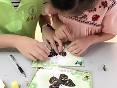 -上海昆虫博物馆