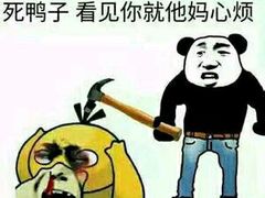 -睿金宠物医院·CT·肿瘤·骨外科