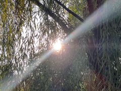 -绿堤公园