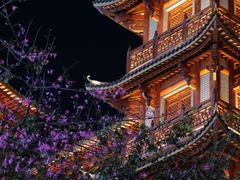 -大佛古寺