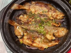 砂锅焗黄花鱼（大）-食家鸽园