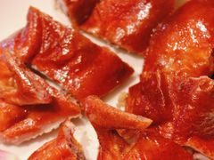 炭烧昆明乳鸭-翠府(翠湖北路店)