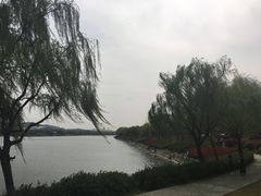 -羊山湖公园