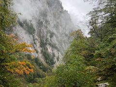 -青峰峡国家森林公园