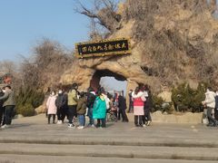-大槐树寻根祭祖园