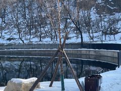 -白水寺森林公园