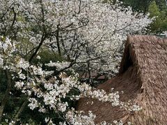 -中国茶叶博物馆(双峰馆区)