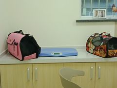 -美联众合动物医院·24h京西诊疗中心