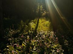 -长春市南湖公园