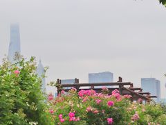 -北外滩滨江绿地