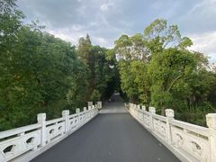-同里国家湿地公园