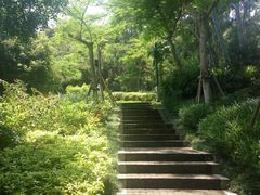 -厦门国家会计学院