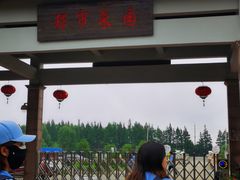 -上海都市菜园