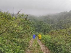 -秦岭风景区