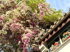 -深圳国际园林花卉博览园