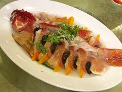 三夹麒麟石斑鱼-红星酒家