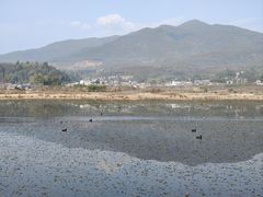 -腾冲北海湿地