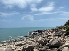 -广东惠东海龟国家级自然保护区