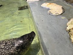 -南昌海洋公园