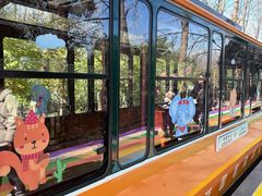 -合肥滨湖国家森林公园