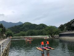 -杨家寨