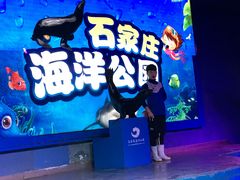 -石家庄海洋公园