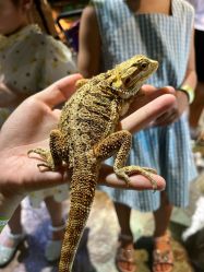 -酷嗒动物文化乐园(cutezoo西溪乐天城店)