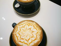 -飞行喵MR PILOT|猫舍·猫咖(静安大融城店)