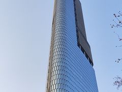 -紫峰大厦