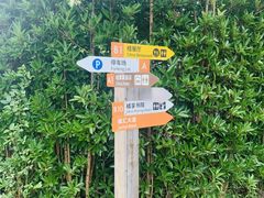 -前小桔亲子创意农场·草莓采摘·露营烧烤