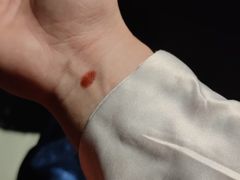 -MAX伯爵沉浸式超级游戏体验馆·实景桌游·剧本杀(小时代店)