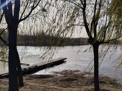 -马家湾湿地公园