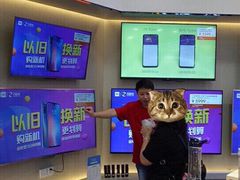 -小米之家(南城民盈国贸城店)
