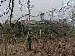 -长沙黑麋峰国家森林公园