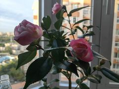 -三旗百汇商品城