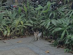 -广州兰圃