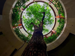 -燕晗山郊野公园