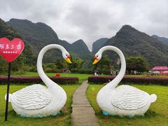 -靖西鹅泉风景区