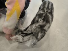 -共舞时光猫咖·狗咖(新街口店)
