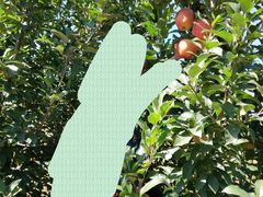 -万源龙顺度假庄园生态观光园