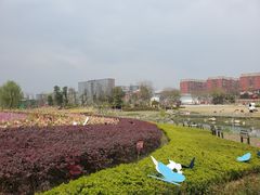 -天府芙蓉园